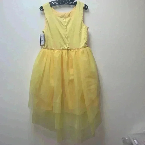 Beauty and the Beast Dress - Picture 7 of 8